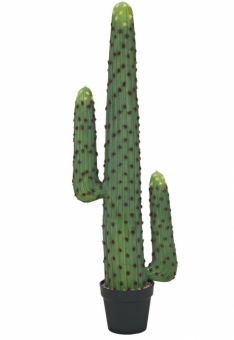 Europalms Mexikanischer Kaktus 117cm