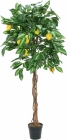 Europalms Zitronenbaum 180cm