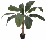 Europalms Bananenbaum 100cm