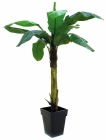 Europalms Bananenbaum 210cm