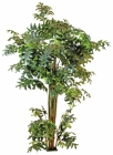 Europalms Fishtail-Palmbaum 305cm
