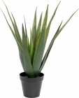Europalms Aloe-Vera Pflanze 60cm